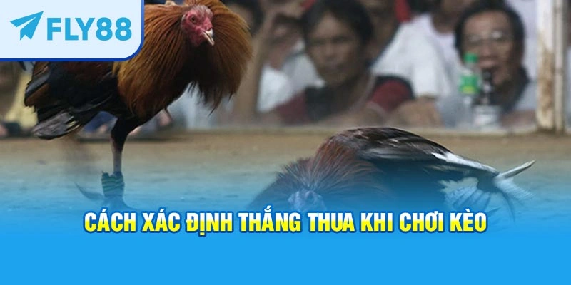 Cách xác định thắng thua khi chơi kèo