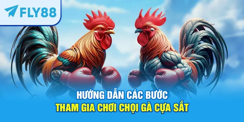 Hướng dẫn các bước tham gia chơi chọi gà cựa sắt